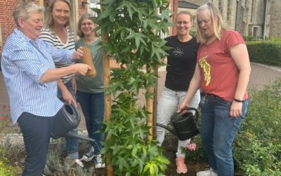 Baumchallenge 2025 -kfd – Beesten pflanzt einen Säulenamberbaum